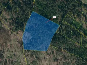 Dražba lesa, Pyšel, 6602 m2