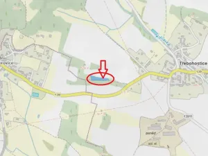 Prodej lesa, Třebohostice, 2163 m2