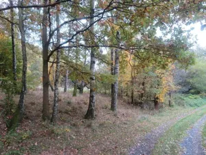 Dražba pole, Jiříkov, 2813 m2