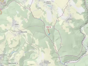 Dražba lesa, Jílové u Držkova, 4305 m2