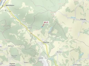 Dražba lesa, Zubrnice, 8765 m2