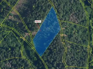 Dražba lesa, Jílové u Držkova, 6213 m2