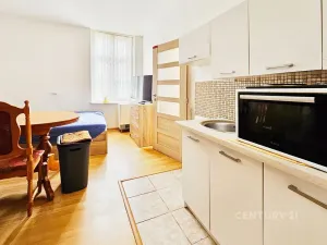 Pronájem bytu 1+kk, Krupka, Komenského, 20 m2