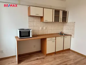Pronájem bytu 1+kk, Plzeň, Skvrňanská, 30 m2