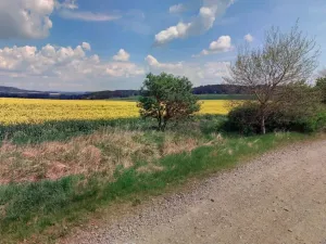 Dražba pozemku, Cebiv, 6401 m2