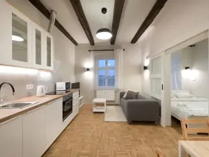 Pronájem bytu 2+kk, Jihlava, Havířská, 40 m2