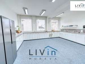 Pronájem kanceláře, Olomouc, Karolíny Světlé, 28 m2