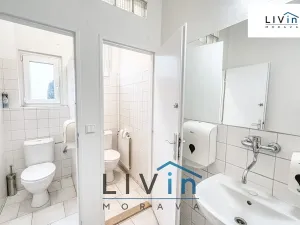 Pronájem kanceláře, Olomouc, Karolíny Světlé, 28 m2