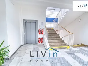 Pronájem kanceláře, Olomouc, Karolíny Světlé, 20 m2