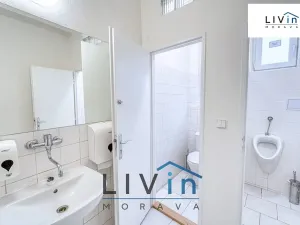 Pronájem kanceláře, Olomouc, Karolíny Světlé, 20 m2