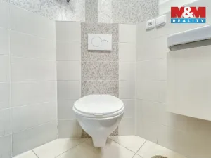 Prodej bytu 1+kk, Plzeň - Východní Předměstí, Plzenecká, 30 m2