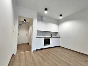 Pronájem bytu 1+kk, Brno, Placzkova, 27 m2