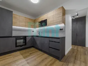 Pronájem bytu 1+1, Ostrava, Alšovo náměstí, 41 m2