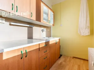 Prodej bytu 1+1, Hrob, Rybniční, 27 m2