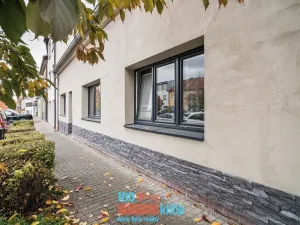 Prodej rodinného domu, Brno, Šimáčkova, 329 m2