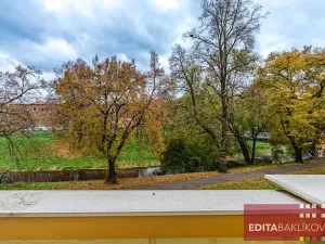 Pronájem bytu 1+1, Olomouc, Dr. Milady Horákové, 39 m2