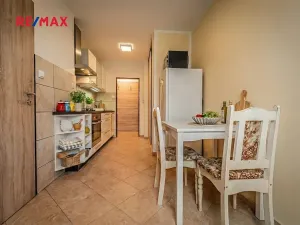 Prodej bytu 1+1, Brandýs nad Labem-Stará Boleslav, Brázdimská, 45 m2