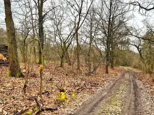 Prodej pozemku pro bydlení, Hradištko, Naděje, 1653 m2
