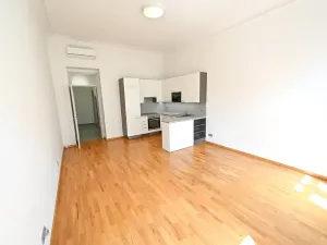 Pronájem bytu 1+kk, Praha - Vinohrady, Vinohradská, 41 m2