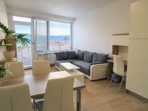 Pronájem bytu 1+kk, Brno, Vídeňská, 32 m2