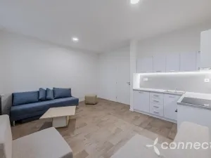 Pronájem bytu 1+kk, Přerov - Přerov I-Město, Husova, 30 m2