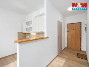 Prodej bytu 1+1, Děčín - Děčín XXVII-Březiny, Kosmonautů, 35 m2