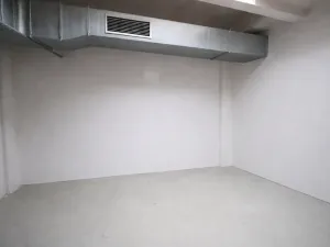 Pronájem skladu, Praha - Nusle, Mojmírova, 165 m2