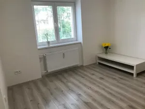 Pronájem bytu 1+1, Frýdek-Místek, Lískovecká, 29 m2