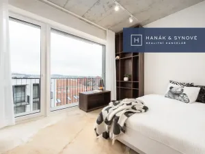 Pronájem bytu 1+kk, Brno, Koliště, 22 m2