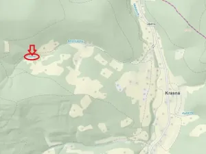 Prodej lesa, Krásná, 824 m2