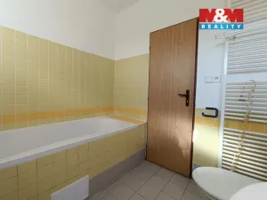 Pronájem bytu 1+1, Český Brod, Prokopa Velikého, 46 m2