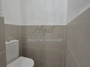 Pronájem bytu 1+1, Brno, 32 m2