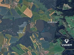 Prodej podílu lesa, Olešnice, 254 m2