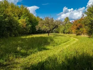 Prodej pozemku pro bydlení, Uhersko, 3765 m2