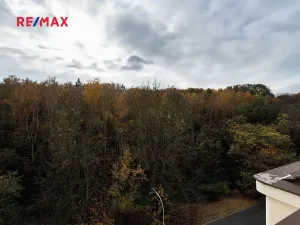 Prodej rodinného domu, Praha - Braník, Údolní, 420 m2