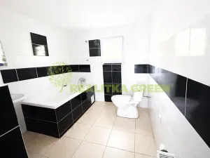 Prodej rodinného domu, Všemina, 173 m2