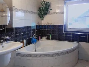 Prodej rodinného domu, Vestec, K Rybníku, 330 m2