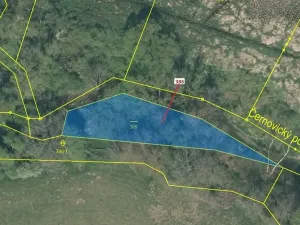 Dražba pozemku, Psárov, 953 m2