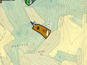 Dražba lesa, Zubrnice, 4610 m2