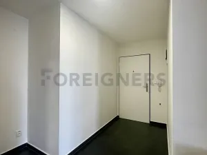 Pronájem bytu 2+kk, Brno, Bratislavská, 56 m2