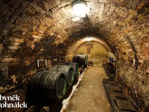 Prodej vinného sklepa, Hovorany, 69 m2