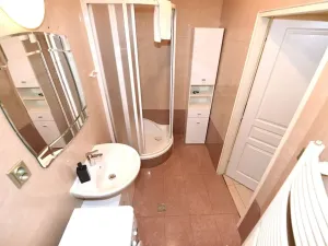 Prodej bytu 3+kk, Praha - Vinohrady, Balbínova, 72 m2