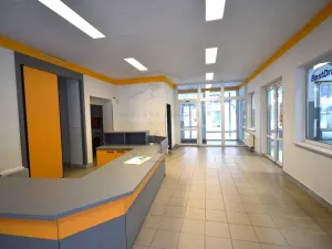 Pronájem výrobních prostor, Česká Ves, Jesenická, 356 m2