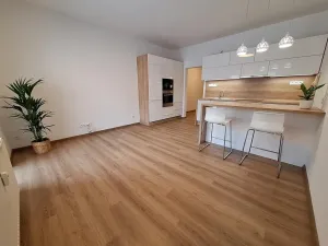 Pronájem bytu 2+kk, Brno, Kladivova, 48 m2