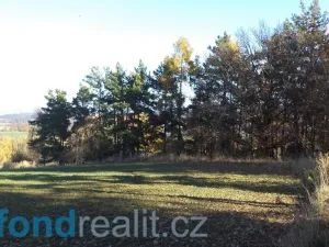 Prodej pole, Prostějovičky, 4403 m2