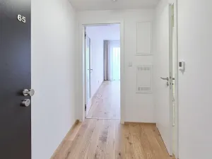 Pronájem bytu 1+kk, Praha - Karlín, Sokolova, 30 m2