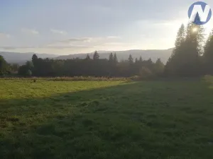 Prodej pozemku, Želnava, 14303 m2