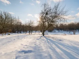 Prodej rodinného domu, Havířov - Prostřední Suchá, Stará, 180 m2