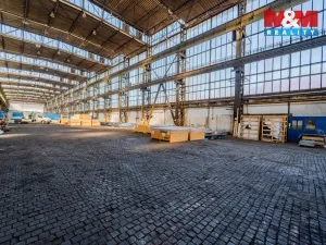 Pronájem výrobních prostor, Ostrava - Vítkovice, 1000 m2