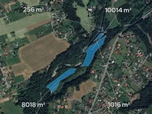Prodej podílu lesa, Bystřice, 6434 m2